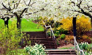 Jardins Valloires